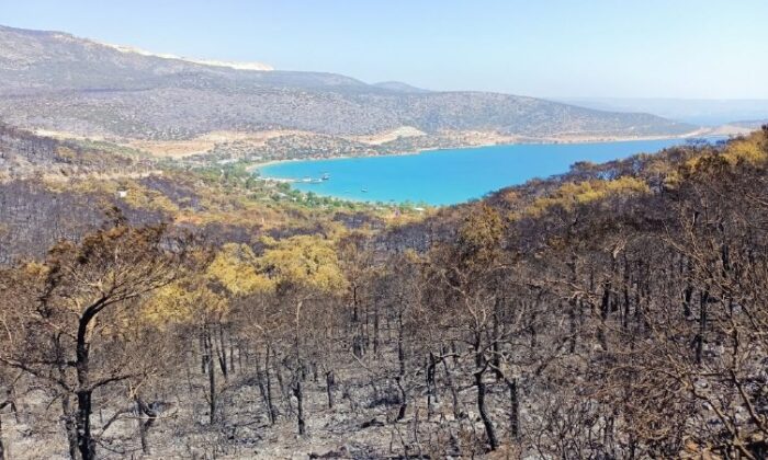 Silifke’de orman yangını devam ediyor
