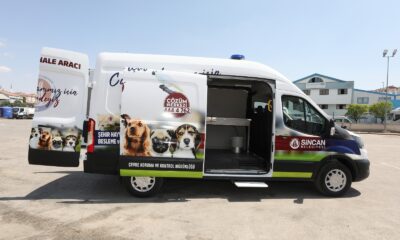 Sincan Belediyesi tarafından sokak hayvanları için tam donanımlı ambulans