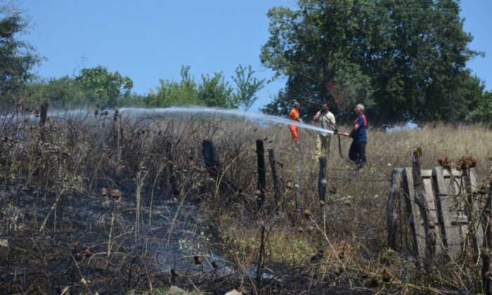 Sinop’ta çöpleri yakmak isteyen bir vatandaş yangına neden oldu