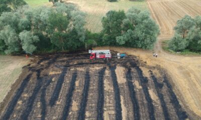 Sinop’ta saman tarlasında yangın