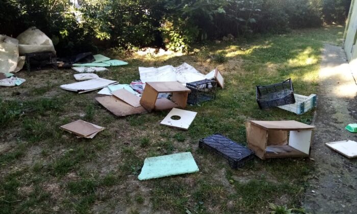 Site bahçesindeki kedi evlerini yıkan şahıs, hayvanseverlere tepki gösterdi