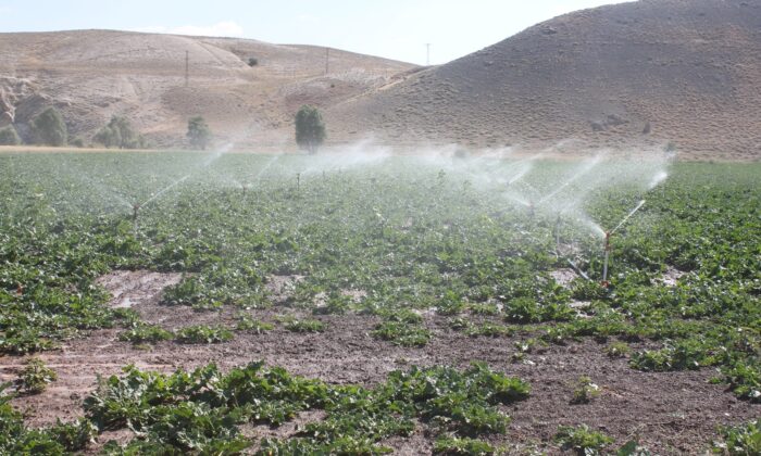 Sivas Gürün Suçatı Sulaması 1. Kısım inşaatının çalışmaları tamamlanarak sulamaya açıldı
