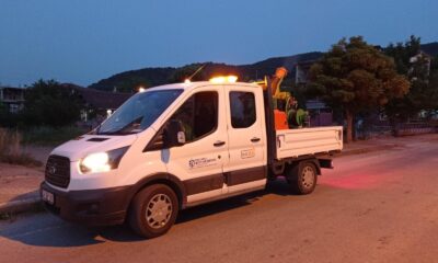 Sivrisinekle kapsamlı mücadele