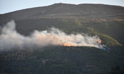 Söke’deki orman yangını korkuttu