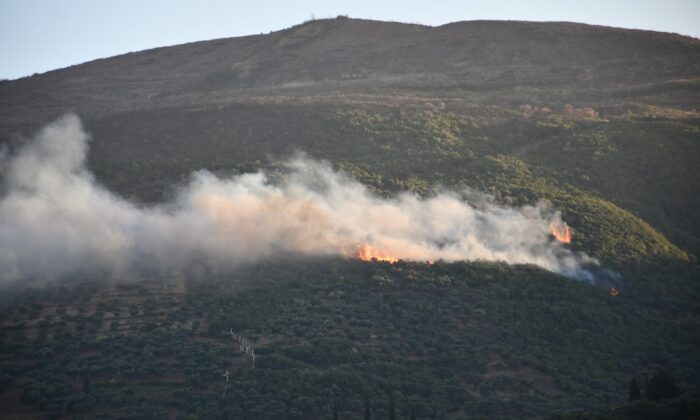 Söke’deki orman yangını korkuttu