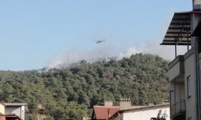 Soma’da orman yangını