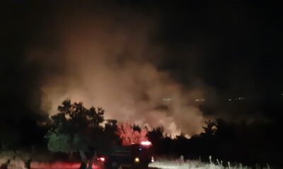 Soma’daki orman yangını kontrol altına alındı