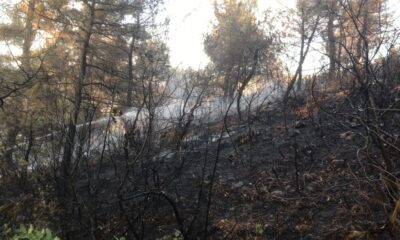 Soma’daki orman yangını kontrol altına alındı