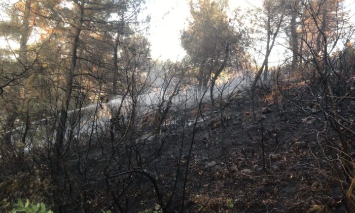 Soma’daki orman yangını kontrol altına alındı