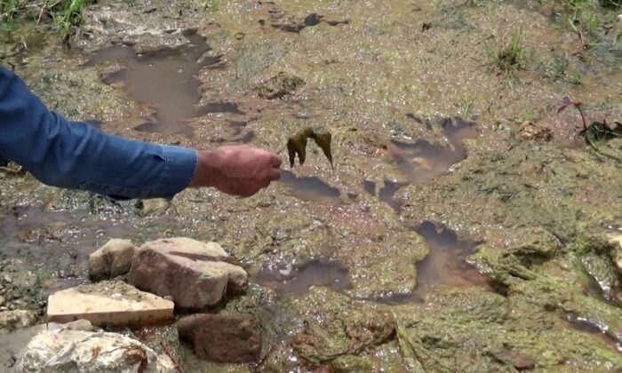 Sultangazi’de Alibeyköy barajına akan dere tehlike saçıyor