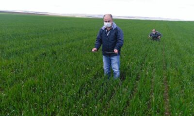 Süne mücadelesi çalışmalarında 20 yılın en düşük değeri gözlemlendi