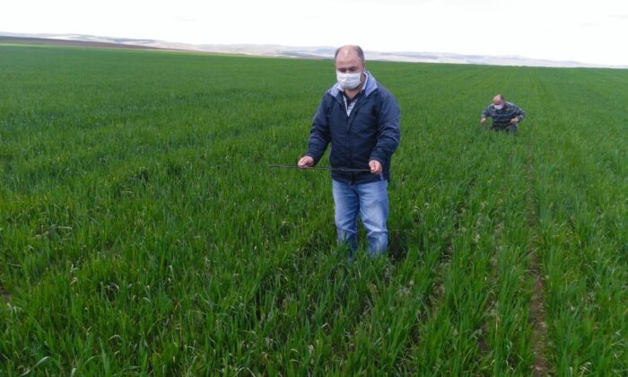 Süne mücadelesi çalışmalarında 20 yılın en düşük değeri gözlemlendi