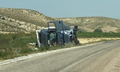 Sungurlu’da tavuk yüklü tır devrildi
