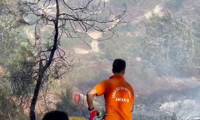 Suriye sınırında orman yangını