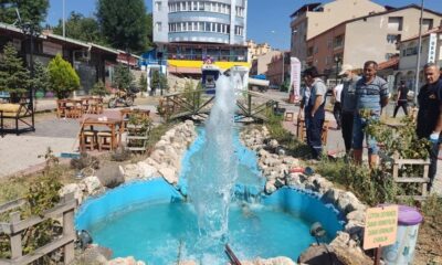 Süs havuzları bakım onarım çalışmaları