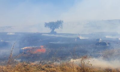 Susurluk’ta 100 dönüm arazi ve 350 saman balyası yandı