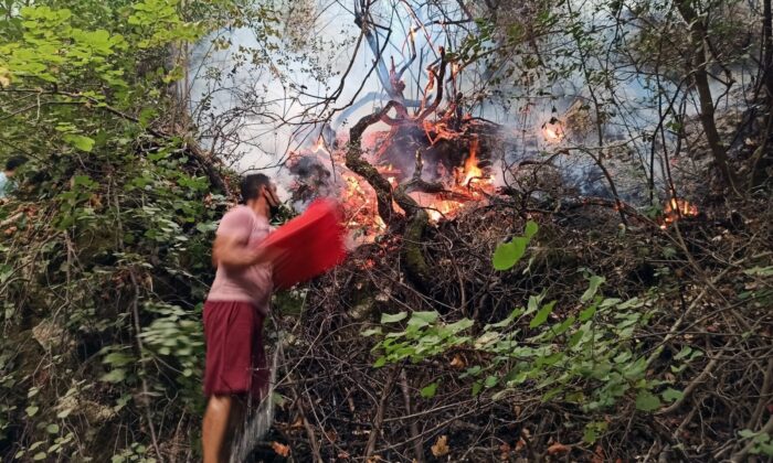 Tabiatın gizli hazinesi ‘Turgut Şelalesi’ de alevlere teslim oldu