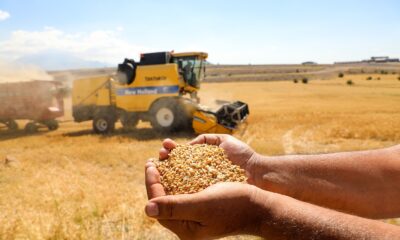 Talas’ta boş araziler tarıma kazandırılıyor