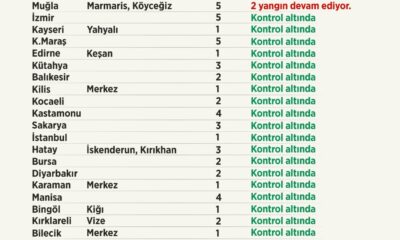 Tarım ve Orman Bakanı Pakdemirli, orman yangınlarına ilişkin son bilgileri paylaştı