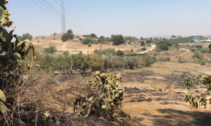 Tarsus’ta bahçedeki yangında 43 ağaç zarar gördü
