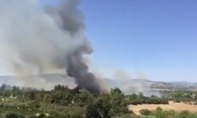 Tarsus’ta zeytinlik alanda yangın