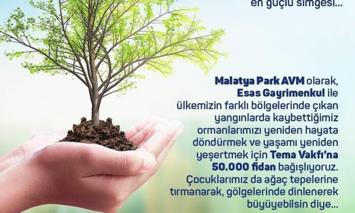 TEMA kampanyasına 50 bin fidan desteği