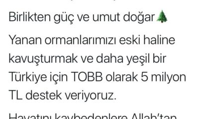 TOBB yanan ormanlar için 5 milyon TL yardımda bulunacak