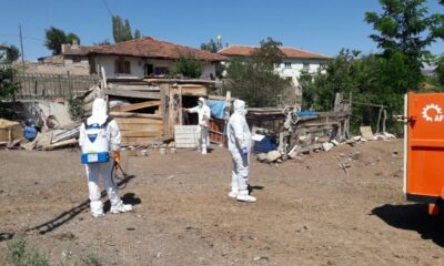 Tokat’ta kuş gribi şüphesi