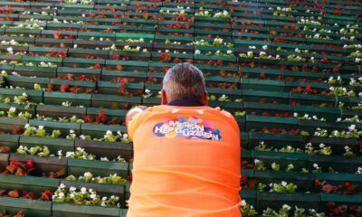 Tulumba Köprüsü’nün dikey bahçeleri çiçeklendi