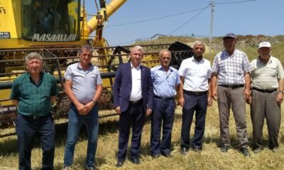 Tunçbilek beldesinde çiftçiler mahsulünü hasat ediyor