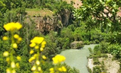 Tunceli Valiliği orman yangınlarına karşı uyardı