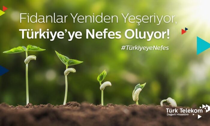 Türk Telekom’dan 100 bin fidan