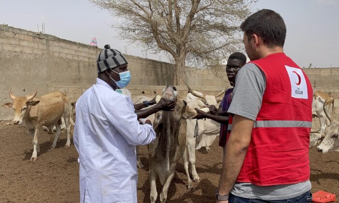 Türkiye ve 21 ülkede kurban kesimleri başladı