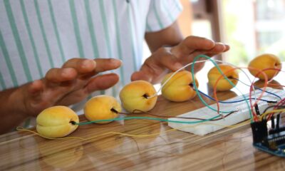 Tuşları kayısıdan olan piyano yaptı, görenler gözlerine inanamadı