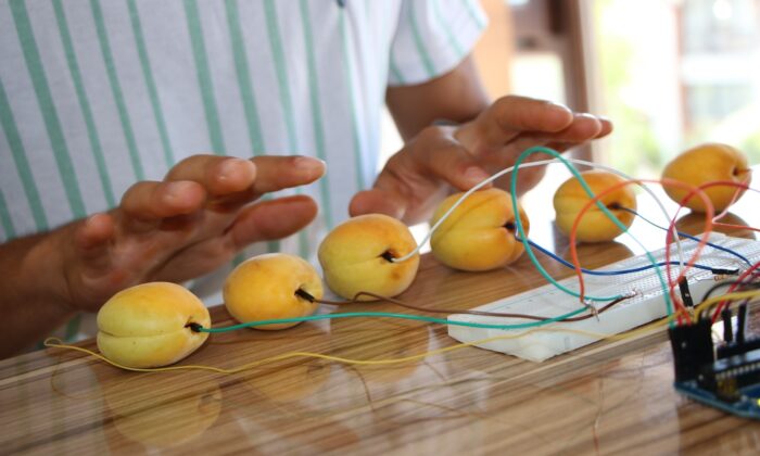 Tuşları kayısıdan olan piyano yaptı, görenler gözlerine inanamadı