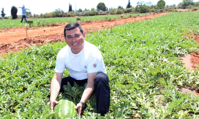 Tütüncü’den ilk hasat paylaşımı