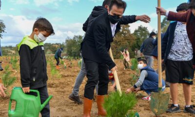 Tuzla Belediyesi’nden Manavgat’a 5 bin fidan bağışı