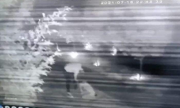 Ünlü mankene öldüresiye dayak kamerada