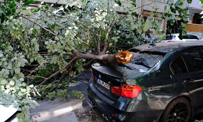 Ünlü oyuncunun lüks aracının üzerine ağaç devrildi