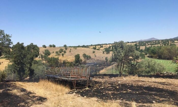 Uşak’ta 55 koyun yanarak telef oldu