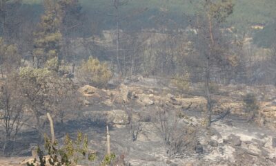 Uşak’ta çıkan orman yangını kontrol altına alındı