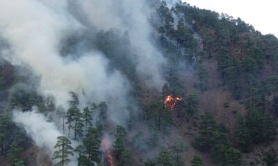 Vali Günaydın: “Yanan yerlerin büyük kısmı örtü yangını, ormanlarımızda büyük kaybımız yok”