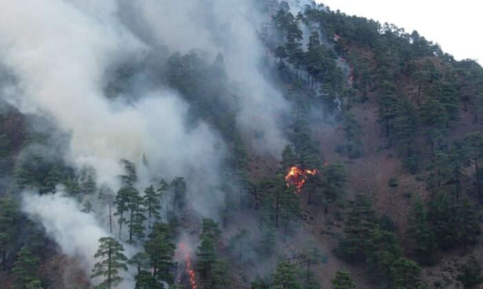 Vali Günaydın: “Yanan yerlerin büyük kısmı örtü yangını, ormanlarımızda büyük kaybımız yok”