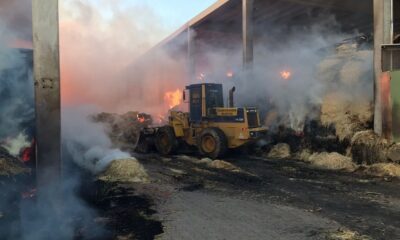 Vali Işık yangın çıkan çiftlikte incelemelerde bulundu