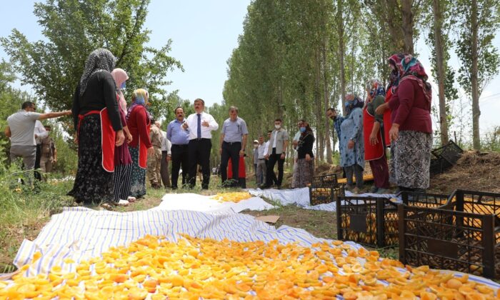 Vali Sarıibrahim kuru kayısı üretim yerini ziyaret etti