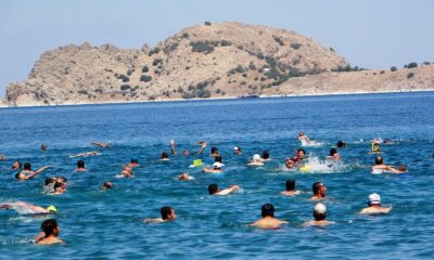 Van Gölü için kulaç attılar