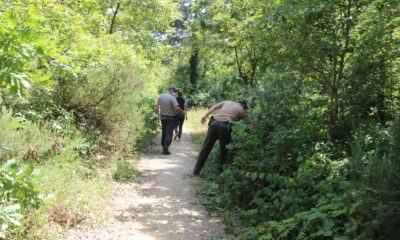 Vatandaşların girmesinin yasaklandığı ormanlarda sıkı denetim