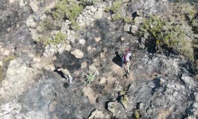 Vatandaşların müdahalesi bin 200 ağacı kurtardı