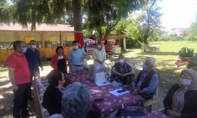 Vitamin deposu ‘Mürver’ meyvesi Kastamonu’da yetiştirilecek