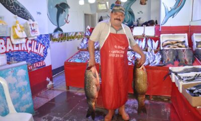 Yahnilik sazan balığına yoğun ilgi